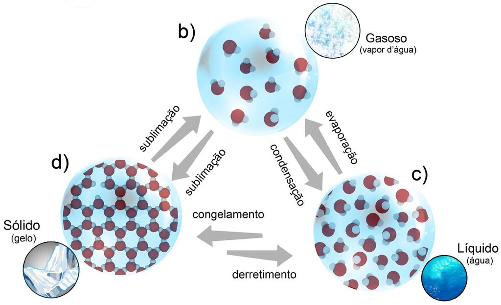 B. Organização das moléculas nos diferentes estados físicos: sólido, líquido e gasoso.