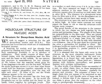 REPLICAÇÃO do DNA Watson and Crick (1953) It has not escaped our notice that the specific