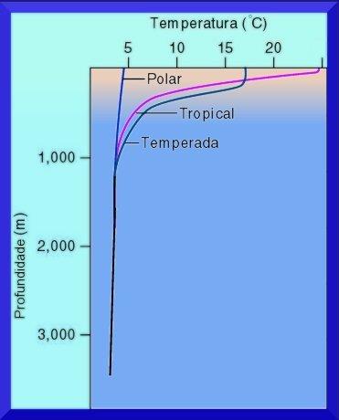 Modelo Simplíssimo Continuamente Estratificado 1 1 2 Camadas A temperatura afeta mais a densidade que a salinidade.