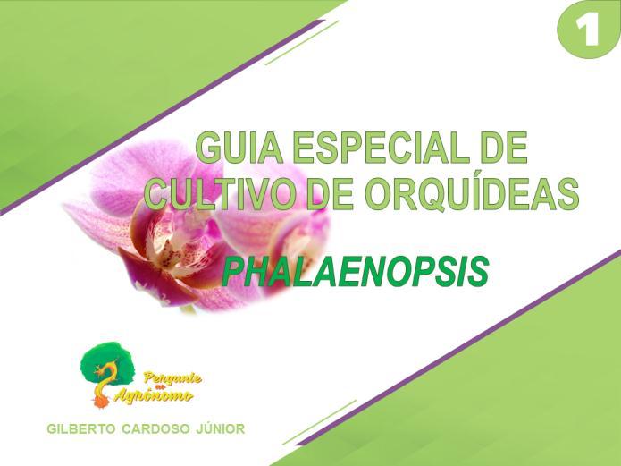 Gostou do conteúdo deste guia gratuito sobre Phalaenopsis?