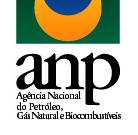 ABASTECIMENTO EM NÚMEROS ANO 5 * Nº 25 * FEVEREIRO DE 21 BOLETIM GERENCIAL Superintendência de Abastecimento Informações sobre a comercialização de combustíveis A Agência Nacional do Petróleo, Gás