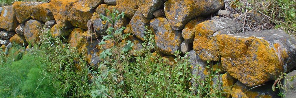 Valor patrimonial O basalto, apesar de estar muito representado nas ilhas dos Açores e da Madeira, está bastante limitado em Portugal continental.