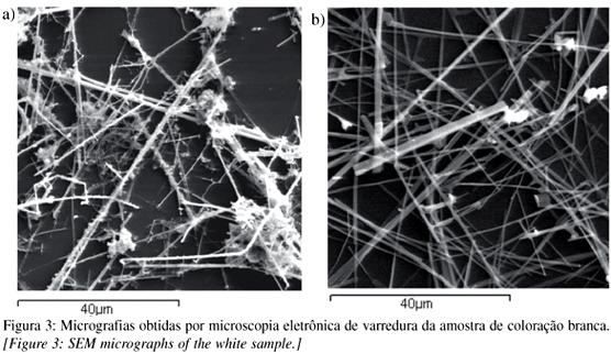 M. O. Orlandi et al.