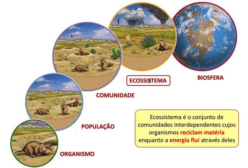 Primeira Lei da Termodinâmica