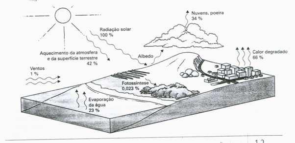 Fluxo de energia Leis da