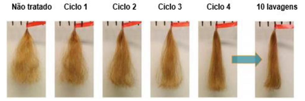 Em outro estudo, mechas de cabelos cacheados foram lavadas com xampu e com condicionador contendo 1% de Silsoft CLX-E. Em seguida foram secadas com secador e aplicado a chapinha.