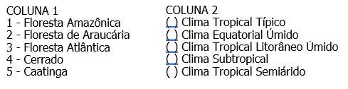 a) Convergência Intertropical b) Ciclone Extratropical c) Massa Equatorial Continental d) Frente Polar Atlântica e) Onda de Leste.