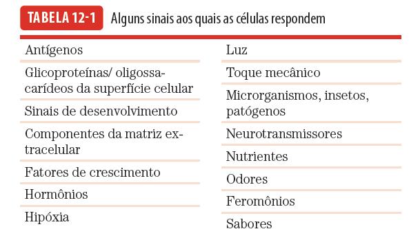 Transdução de sinais: