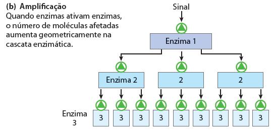 conservação dos mecanismos