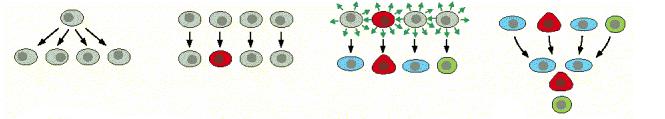 Princípios da Sinalização Celular ORGANISMOS UNICELULARES Células respondem a estímulos do meio: disponibilidade de oxigênio, nutrientes, etc ORGANISMOS MULTICELULARES Células enviam sinais umas às