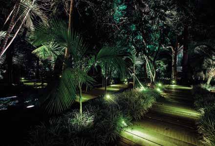 LÂMPADAS - LINHA SMART PAR20 VERDE - IP65 Descubra a tecnologia LED aplicando a lâmpada PAR20 Verde LED em áreas externas como jardins.