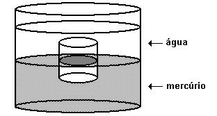a) 5,0 N b) 10 N c) 20 N d) 25 N e) 50 N 22. (ITA 1998)Um cilindro maciço flutua verticalmente, com estabilidade, com uma fração f do seu volume submerso em mercúrio, de massa específica D.