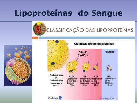 LIPOPROTEÍNAS RELACIONADAS AO METABOLIS- MO DE TRIGICERÍDEOS E COLESTEROL SANGUÍNEO SISTEMAS LIPOPROTÉICOS - O termo lipoproteína é empregado não para um composto químico definido, mas sim para uma