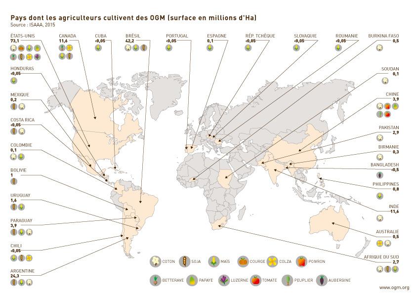 OGM cultivados no mundo Estagnação das áreas de OGM nos países industrializados desde 2010 Culturas OGM concentradas nas
