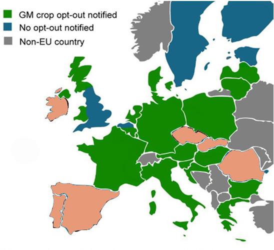 Países produtores de OGM que se especializam rapidamente AGPM de acordo com ISAAA e USDA Renacionalização das decisões sobre produção de OGM na UE-28 17
