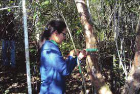 Estudos e Serviços Ambientais e Sociais Envolve estudos ambientais de várias categorias para atendimento à legislação ambiental brasileira e estudos de cumprimento