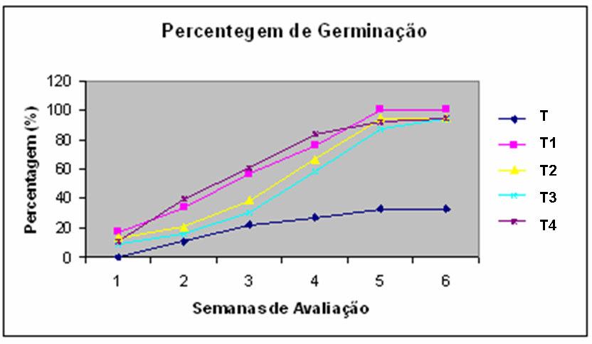 FIGURA 1 - Aspecto geral das medidas do fruto de goiabeira-serrana.
