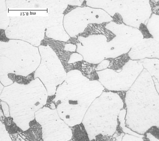 Março de 2005 - CRPL Figura 16. Aço 1020 recozido. Aumento de 1000 X Figura 17.