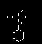 AMINOÁCIDOS (13.03) 1. Dê a estrutura geral de um Aminoácido. 2. Em qual região da molécula os aminoácidos diferem uns dos outros? 3.