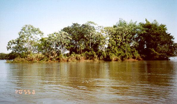 A Figura 28 mostra que na confluência existe uma interação entre as dinâmicas do fluxo do rio Ivaí com o rio Paraná e isto se faz em razão do ângulo agudo da confluência, onde as velocidades na