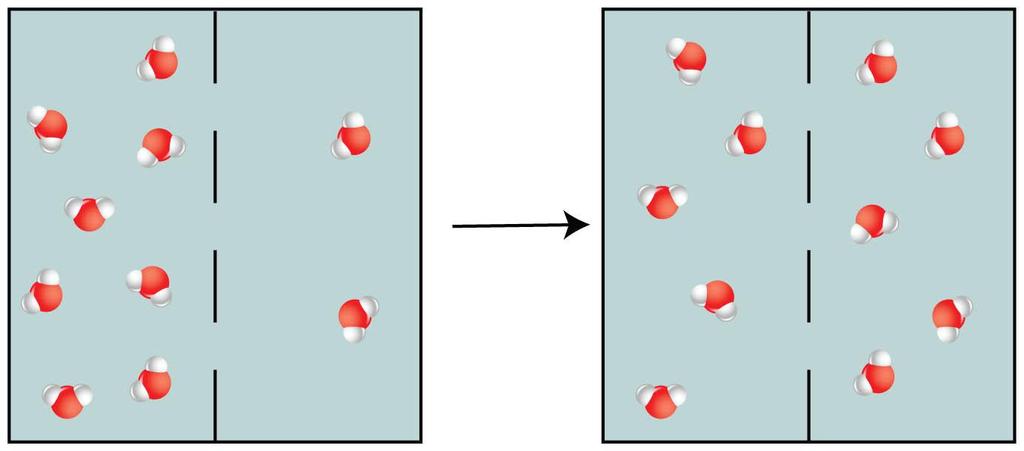 Difusão As moléculas deslocam-se de uma região de elevada concentração para outra de menor concentração