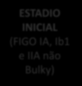 INICIAL (FIGO IA, Ib1 e IIA