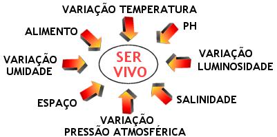 FATORES ABIÓTICOS LIMITE DE TOLERÂNCIA: Quanto maior o limite de tolerância (Valencia ecológica), maior a capacidade de povoar ambientes diversos