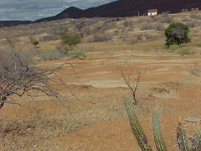 Desertificação Município de Irauçuba - CE http://4.bp.blogspot.