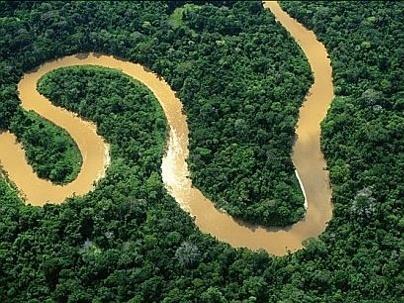 7 Bioma da Floresta Amazônica http://br.viarural.