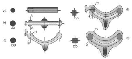 Fev/203 Figura 5. Etapas no Forjamento: (a) tarugo original; (b) distribuição de massas; (c) dobramento; formação da seção transversal; (e) peça pronta para sofrer rebarbação.