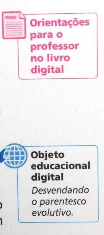 devido ao acesso facilitado às informações em poucos segundos, neste paradigma da Web 1.0, os sujeitos são consumidores desta informação (TREIN; SCHLEMMER, 2009, p. 4).