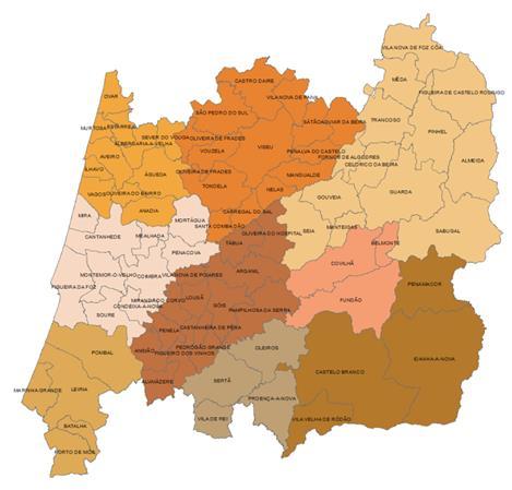 ADMINISTRAÇÃO REGIONAL DE SAÚDE DO CENTRO Território abrangido 78 conselhos 17% da população (1.705.