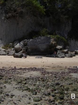 A figura B indica uma forte presença de processos erosivos, já que os arenitos de praia se tornam bastante evidentes (partes de terraços de abrasão).