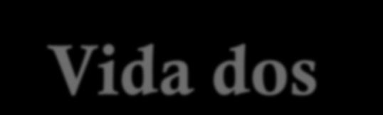 Vida dos Animais na Dimensão Espiritual S