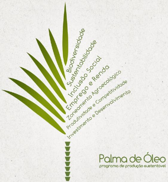 Perspectivas de produção de oleaginosas O óleo de palma tem grande potencial de crescimento O programa está alicerçado em fortes diretrizes de proteção ambiental ZEE da palma