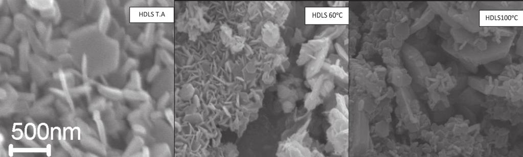 ] Figura 7: Micrografias obtidas por microscopia eletrônica de varredura das amostras HDL TA, HDLS 6 ºC e HDLS ºC.