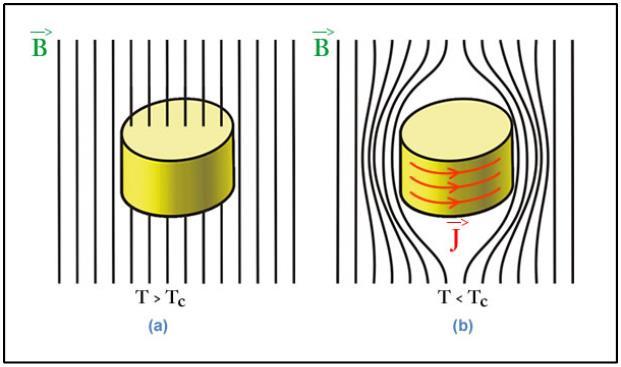 Figura 4 (a) Comportamento do fluxo magnético em um supercondutor na fase normal. (b) Expulsão do fluxo magnético no interior de um supercondutor (efeito Meissner).