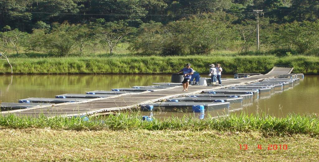 Importantes trabalhos experimentais com TR Centro Nacional de Pesquisa de Peixes Tropicais CEPTA (IBAMA), em Pirassununga (SP), principalmente, com a criação do pacu Centro de Aquicultura da