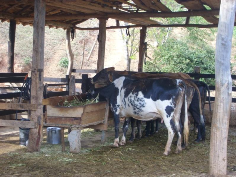 para garantir o abastecimento regional e ser,