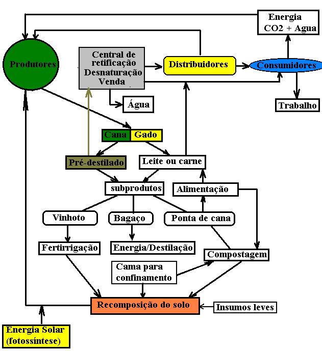 Fluxograma da produção de alimentos e