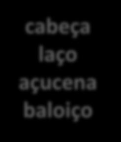 O baloiço bateu numa açucena. ça ço çu Lê o texto e completa as frases.