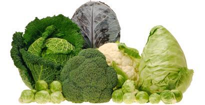 Alimentos conhecidos pelo seu efeito protetor Legumes e vegetais.
