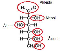 Os ácidos carboxílicos são substâncias que apresentam o grupo carboxila,