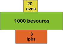 de números mostra o número de indivíduos presentes em cada nível trófico.