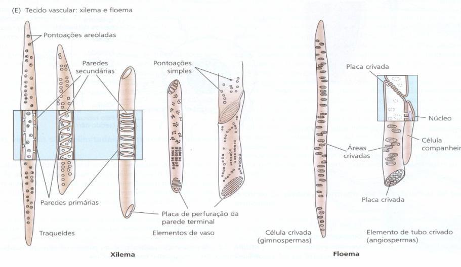 Sistemas de