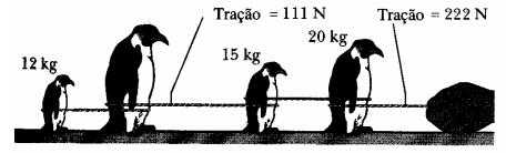 Exercício 06 Três blocos estão em contato entre si sobre uma superfície horizontal plana sem atrito, de acordo com esquema abaixo. Uma força horizontal F é aplicada a m 1.