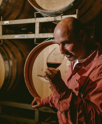 Sebastián Ruiz Flaño acredita fortemente no enorme potencial da Viña Tarapacá, seu objetivo é criar vinhos distintos e de origem, representativos do Vale do Maipo, mas com as particularidades do