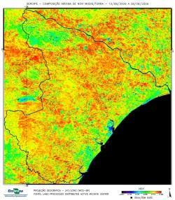 Figura 2 Espacialização do rendimento (em kg/ha) do cultivo do