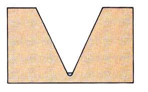 MATURIDADE V