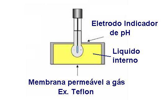 Eletrodo de Sensível a Gás Um eletrodo indicador é colocado em uma solução especifica É mergulhado em um pequeno recipiente